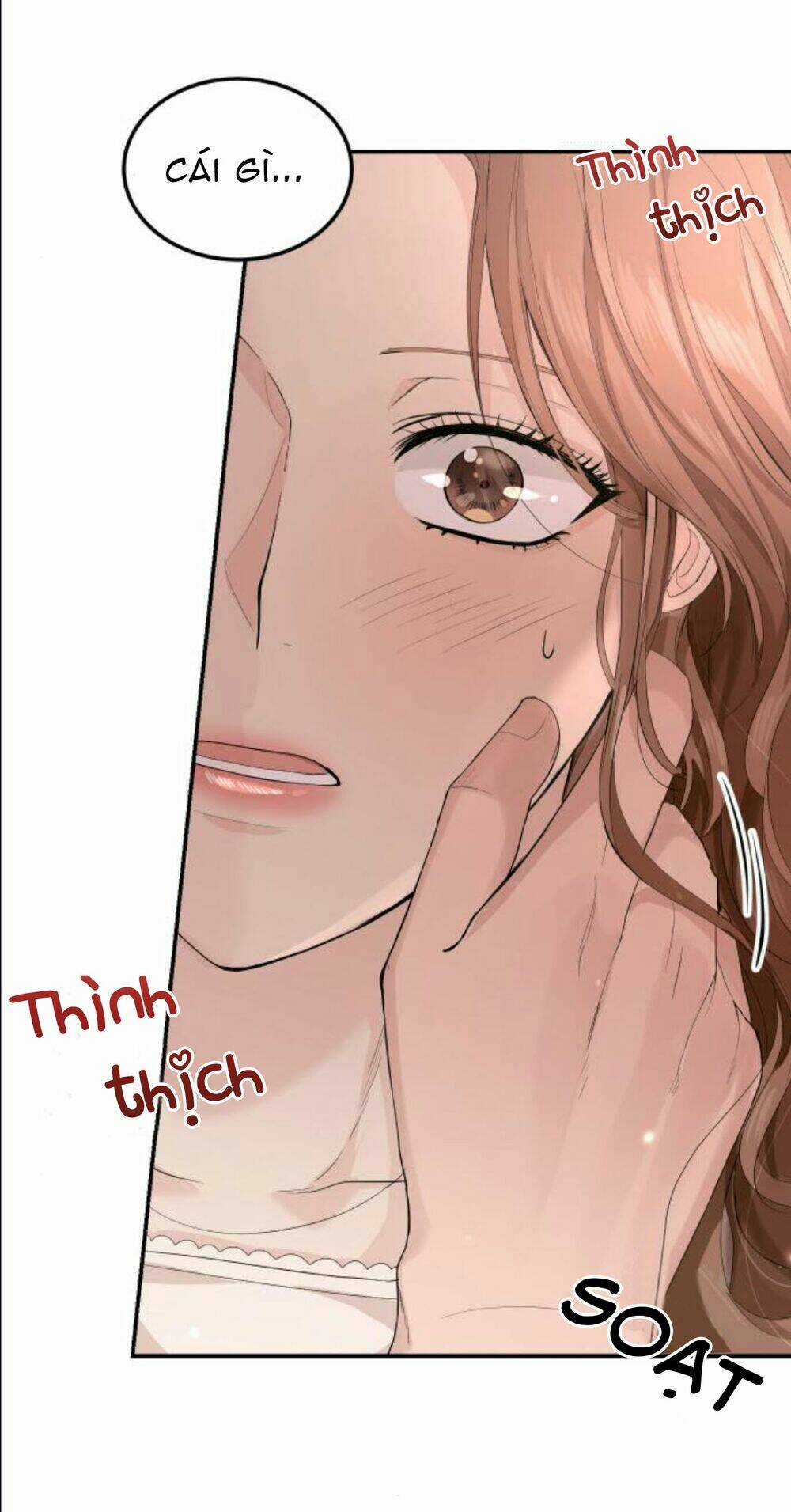 Hôn Nhân Hoàn Hảo - Chapter 12.2 - Trang 6