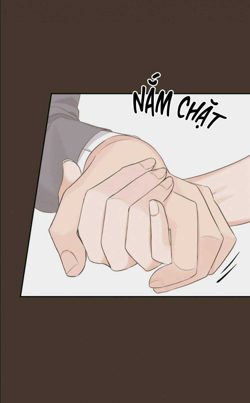 Hôn Nhân Hoàn Hảo - Chapter 13.2 - Trang 21