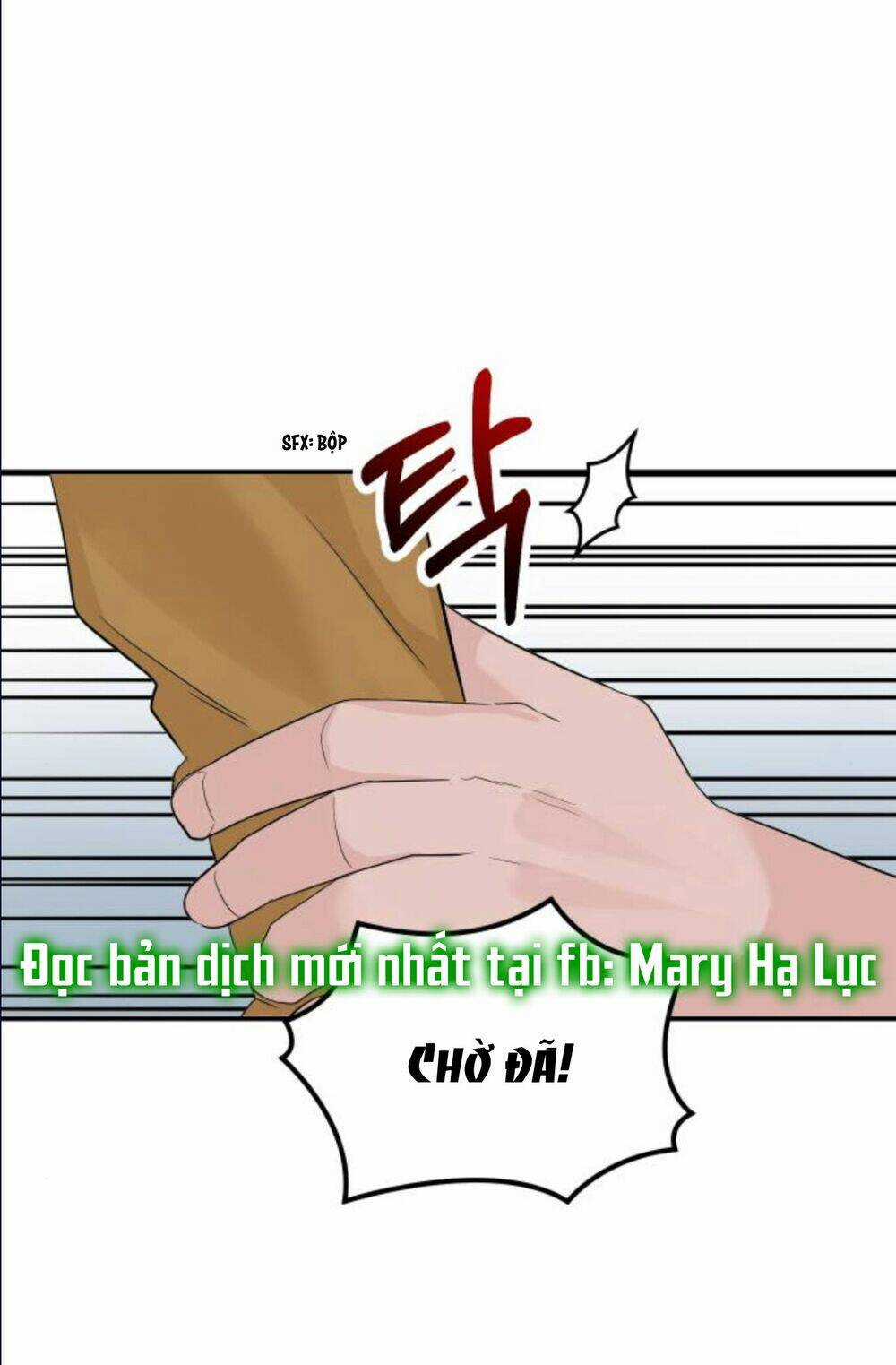 Hôn Nhân Hoàn Hảo - Chapter 15.2 - Trang 17