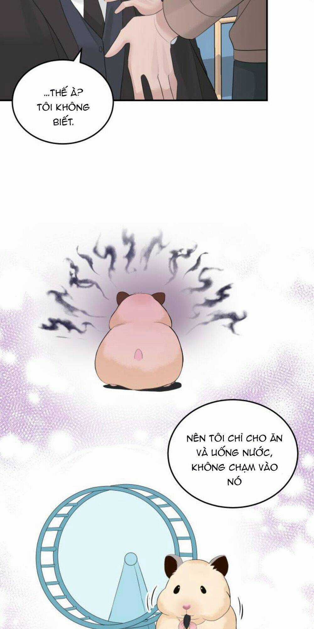 Hôn Nhân Hoàn Hảo - Chapter 38 - Trang 17