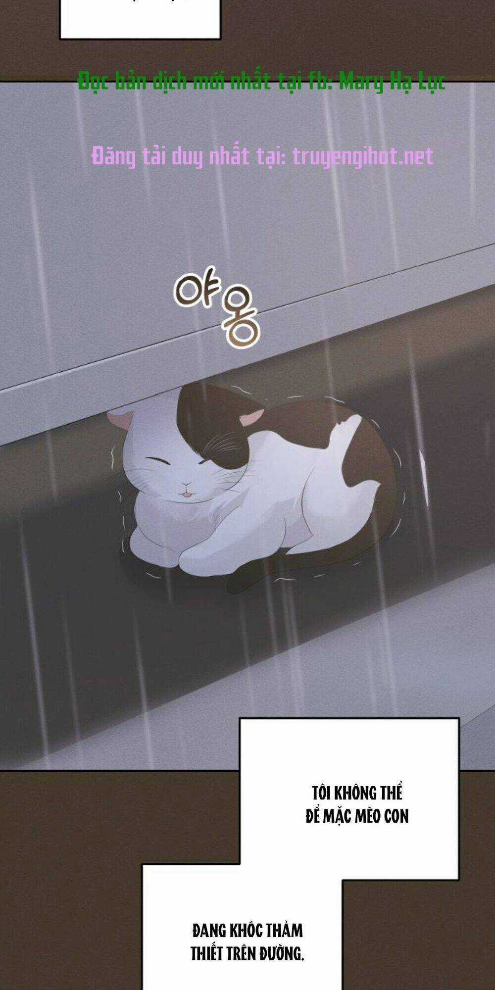 Hôn Nhân Hoàn Hảo - Chapter 39 - Trang 58