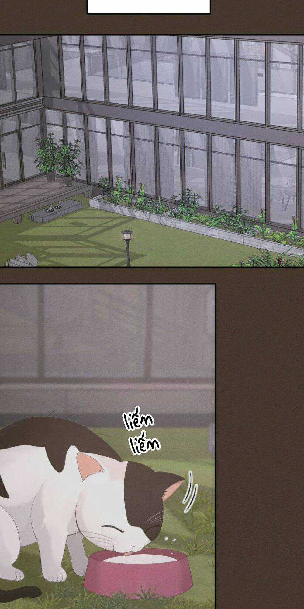 Hôn Nhân Hoàn Hảo - Chapter 39 - Trang 59