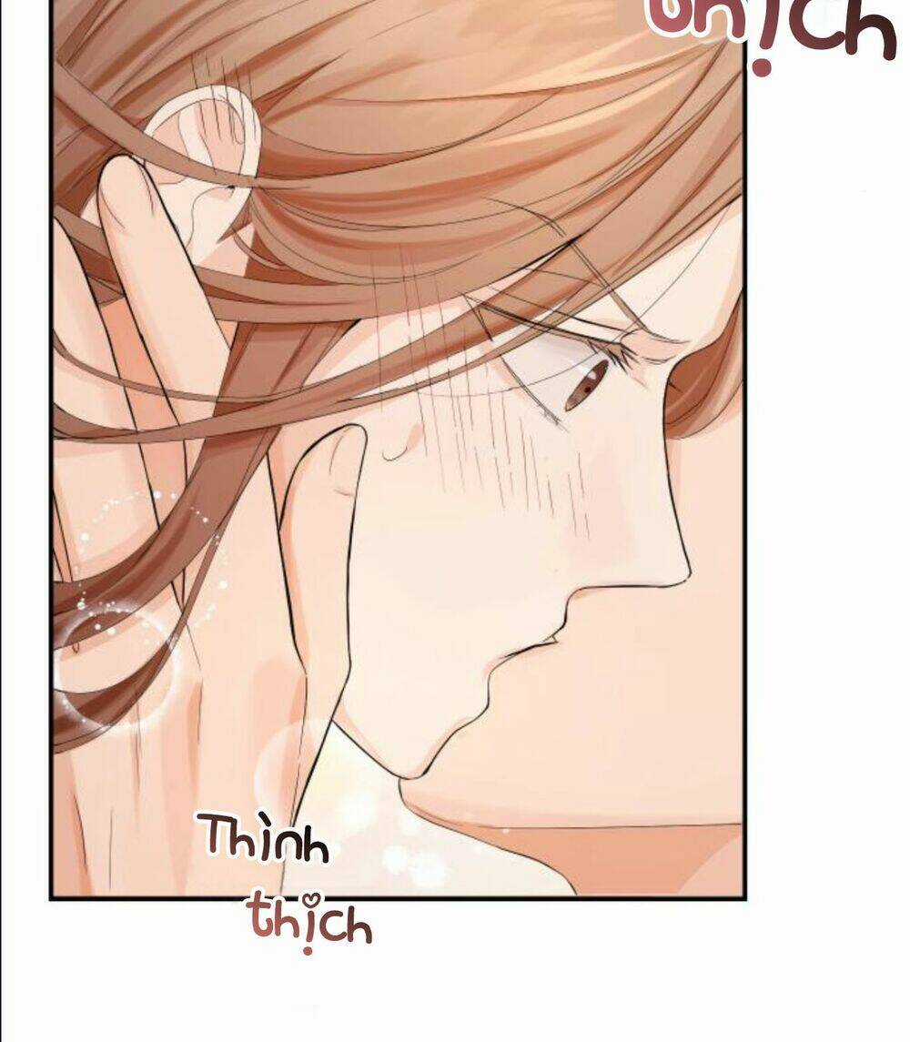 Hôn Nhân Hoàn Hảo - Chapter 4 - Trang 2