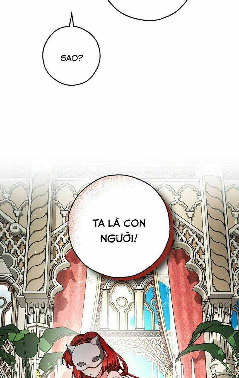 Hôn Phu Ẩn Sắc - Chapter 39 - Trang 11