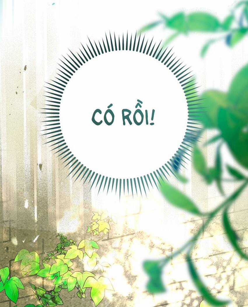 Hôn Phu Ẩn Sắc - Chapter 91.1 - Trang 8