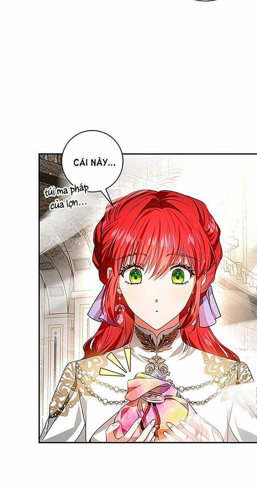 Hôn Phu Ẩn Sắc - Chapter 98.2 - Trang 24