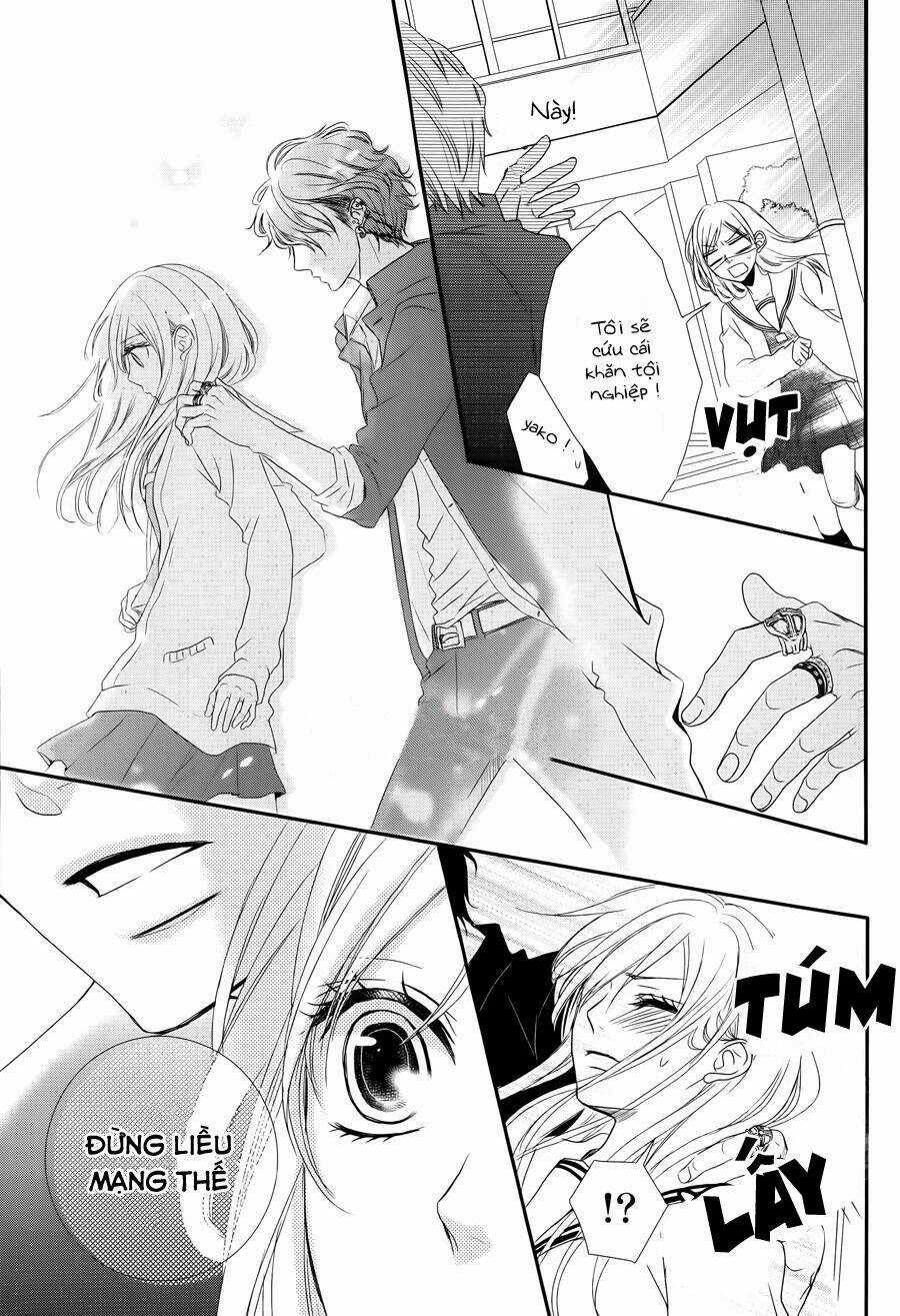 Honey Buddy - Chapter 1 - Trang 5