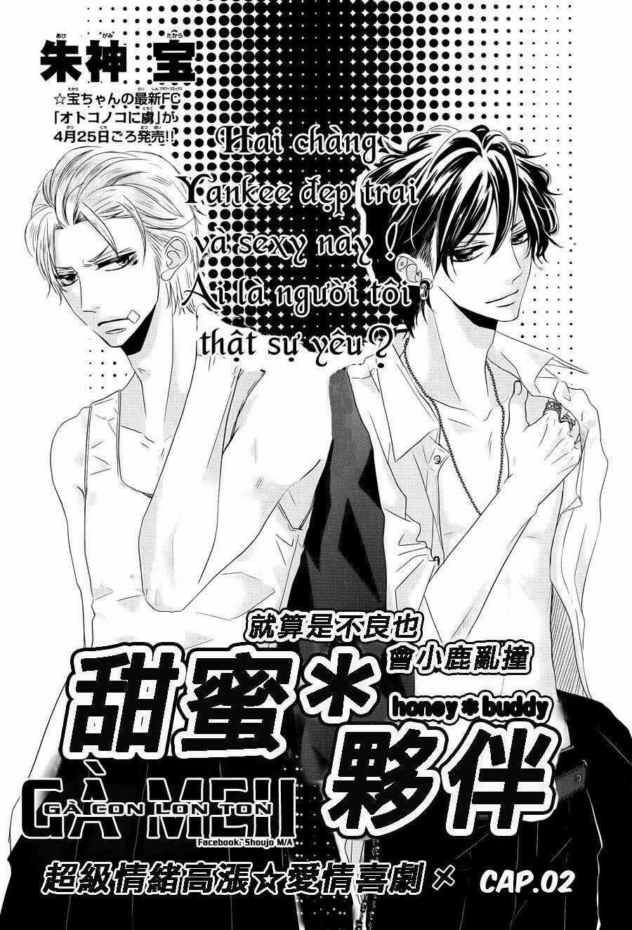 Honey Buddy - Chapter 2 - Trang 1