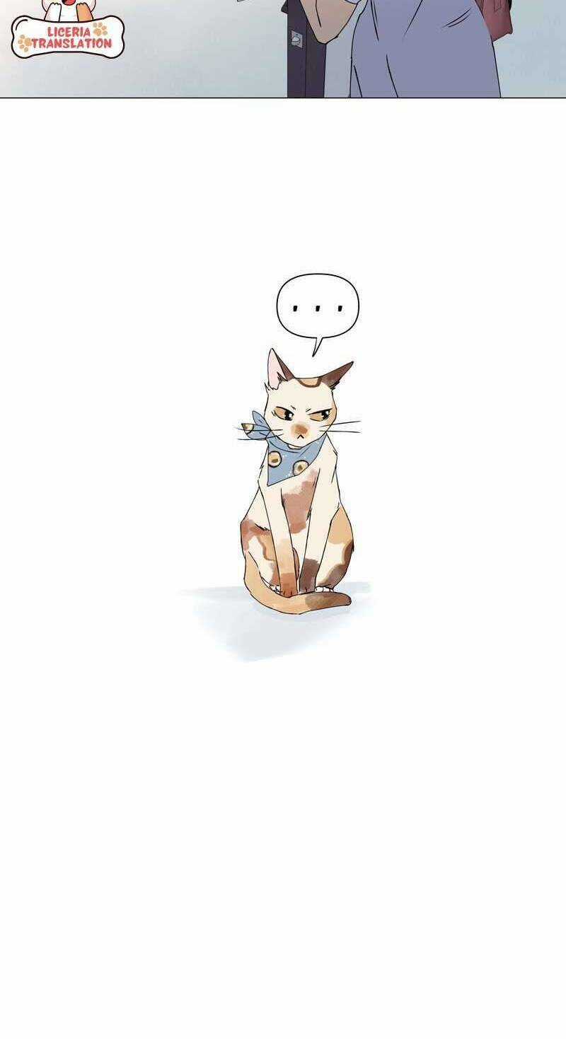 Honey Lemon - Chapter 2 - Trang 38