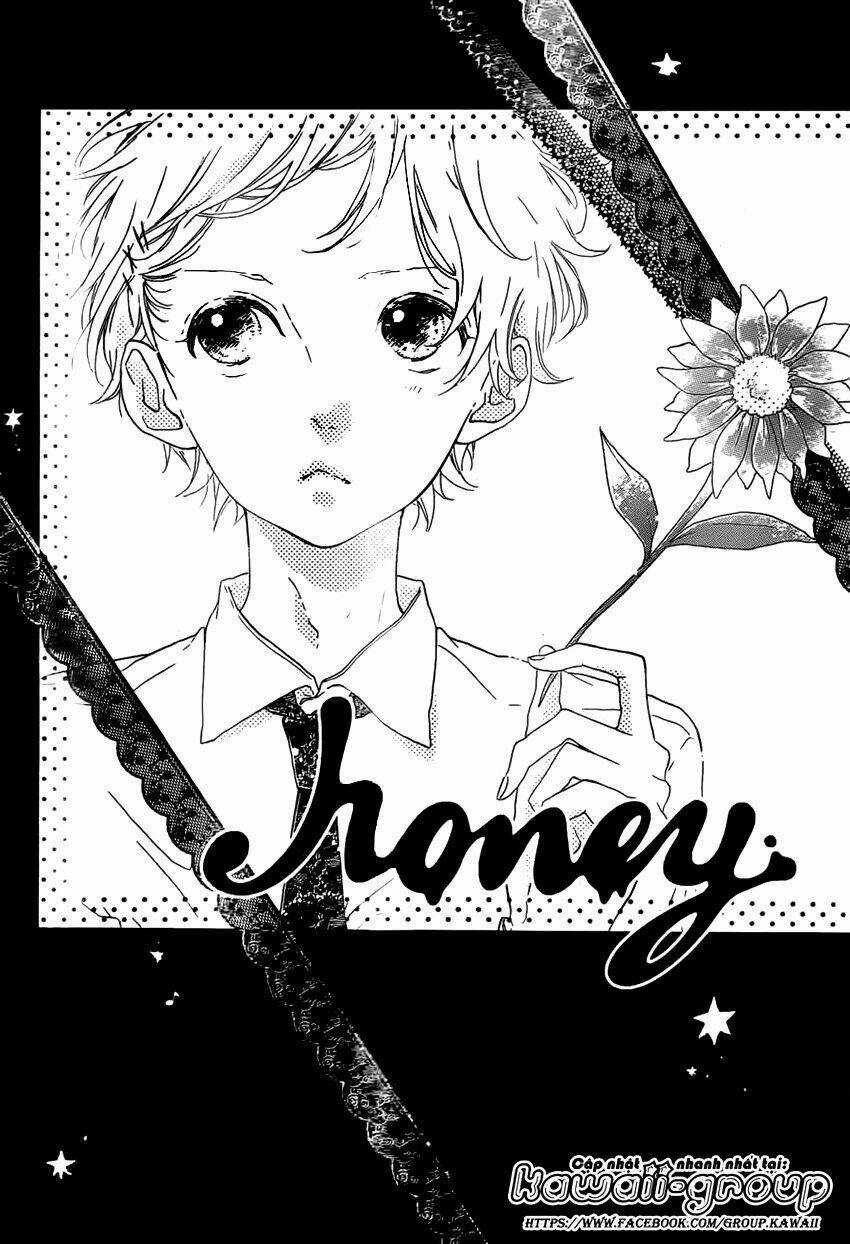 Honey (Meguro Amu) - Chapter 20 - Trang 3