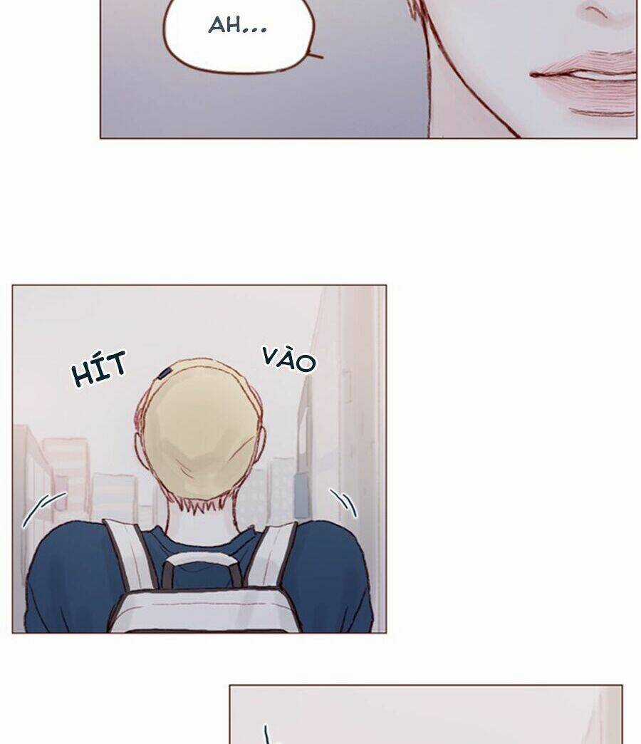 Hongshi Thích Tôi! - Chapter 17 - Trang 32