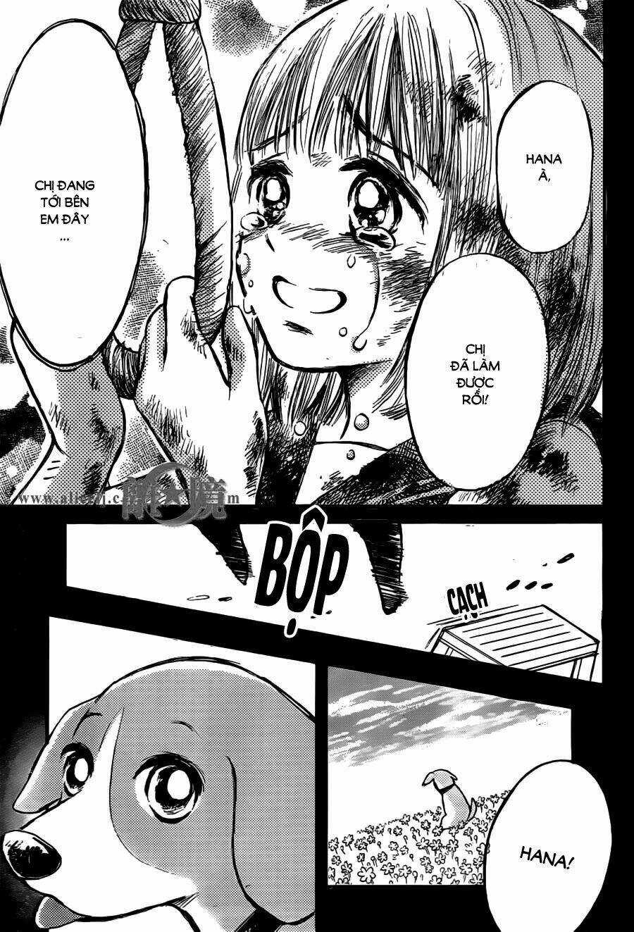 Hope - Chapter 15 - Trang 29