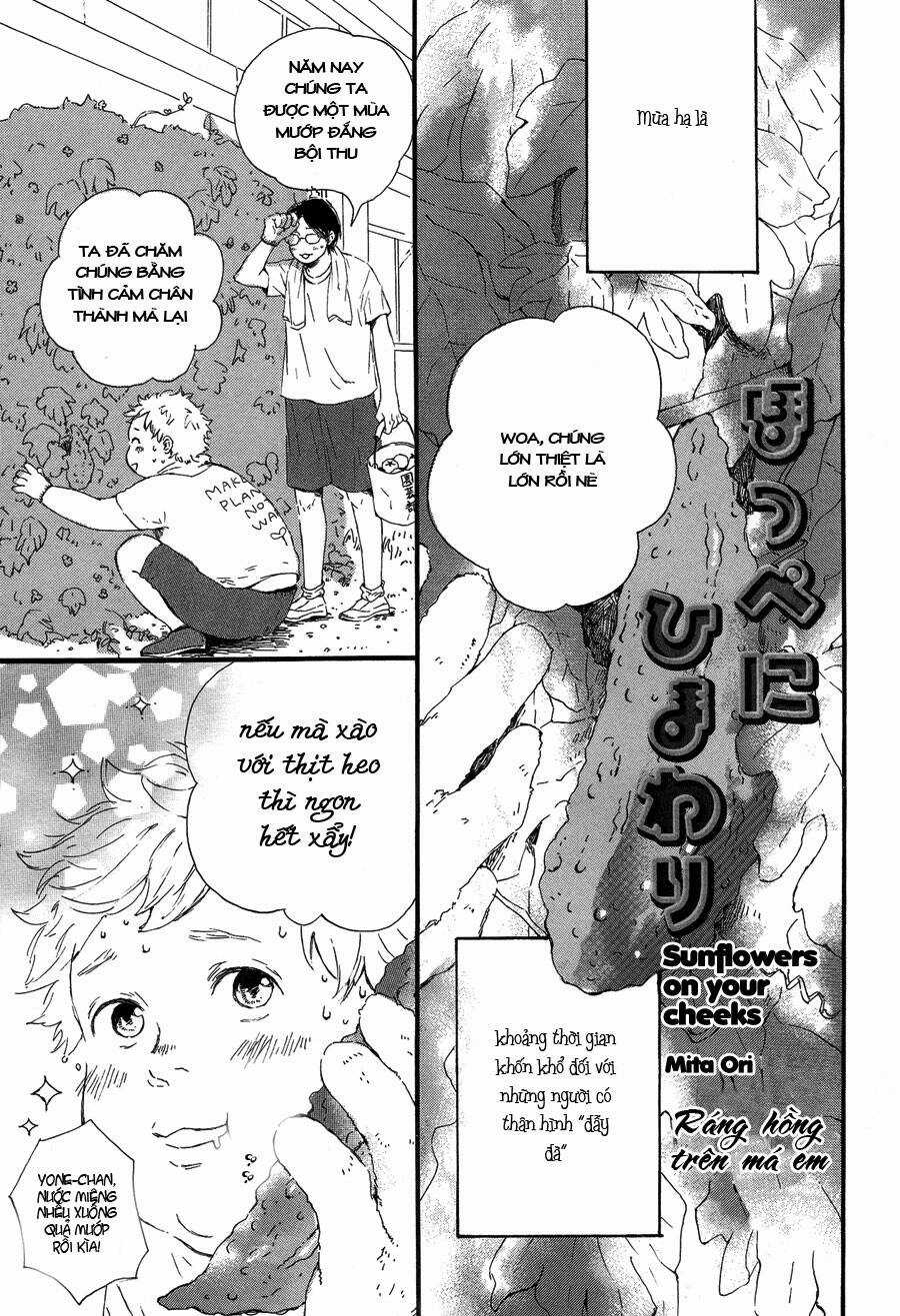 Hoppe Ni Himawari - Chapter 1 - Trang 3