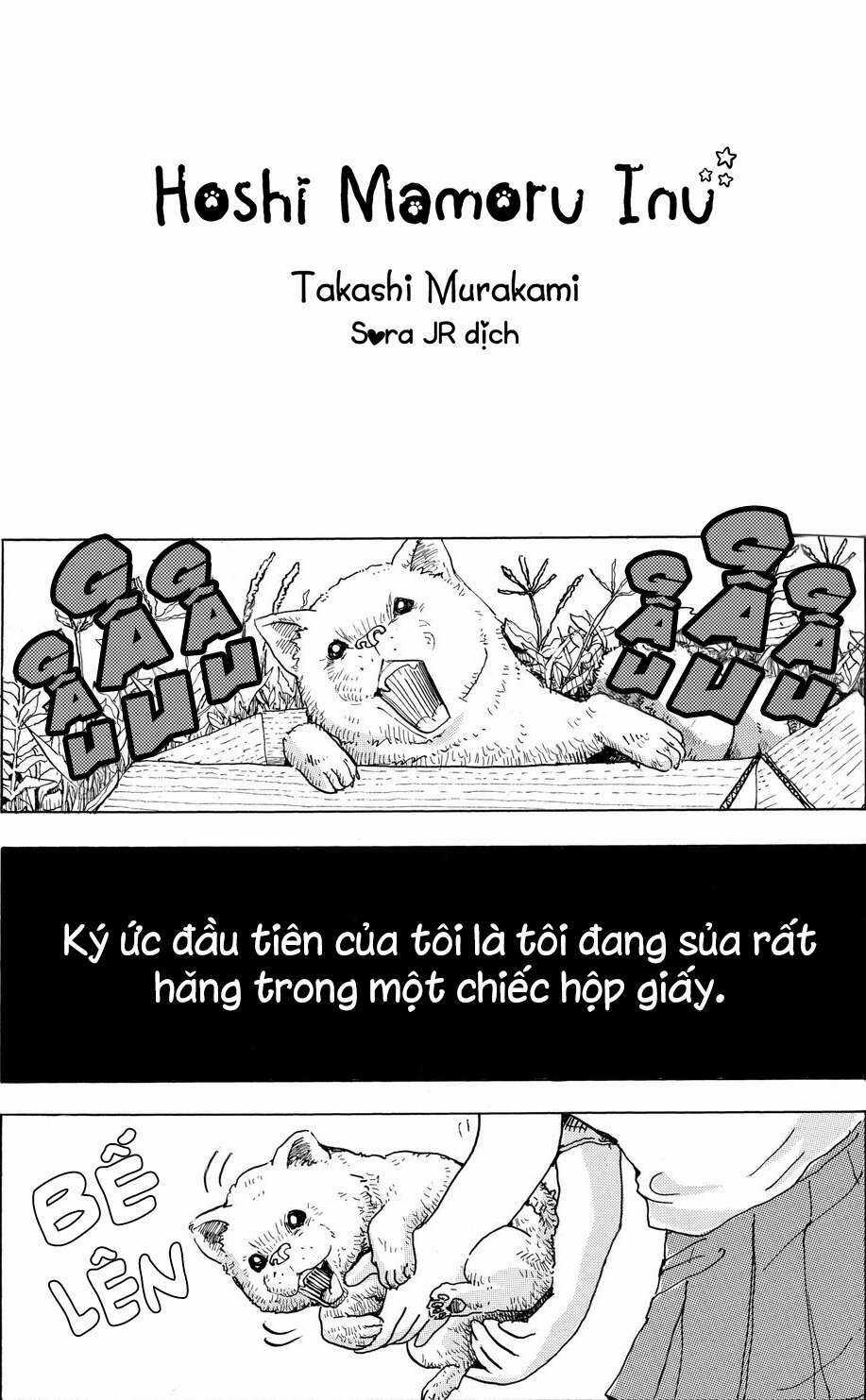 Hoshi Mamoru Inu - Chapter 1 - Trang 8