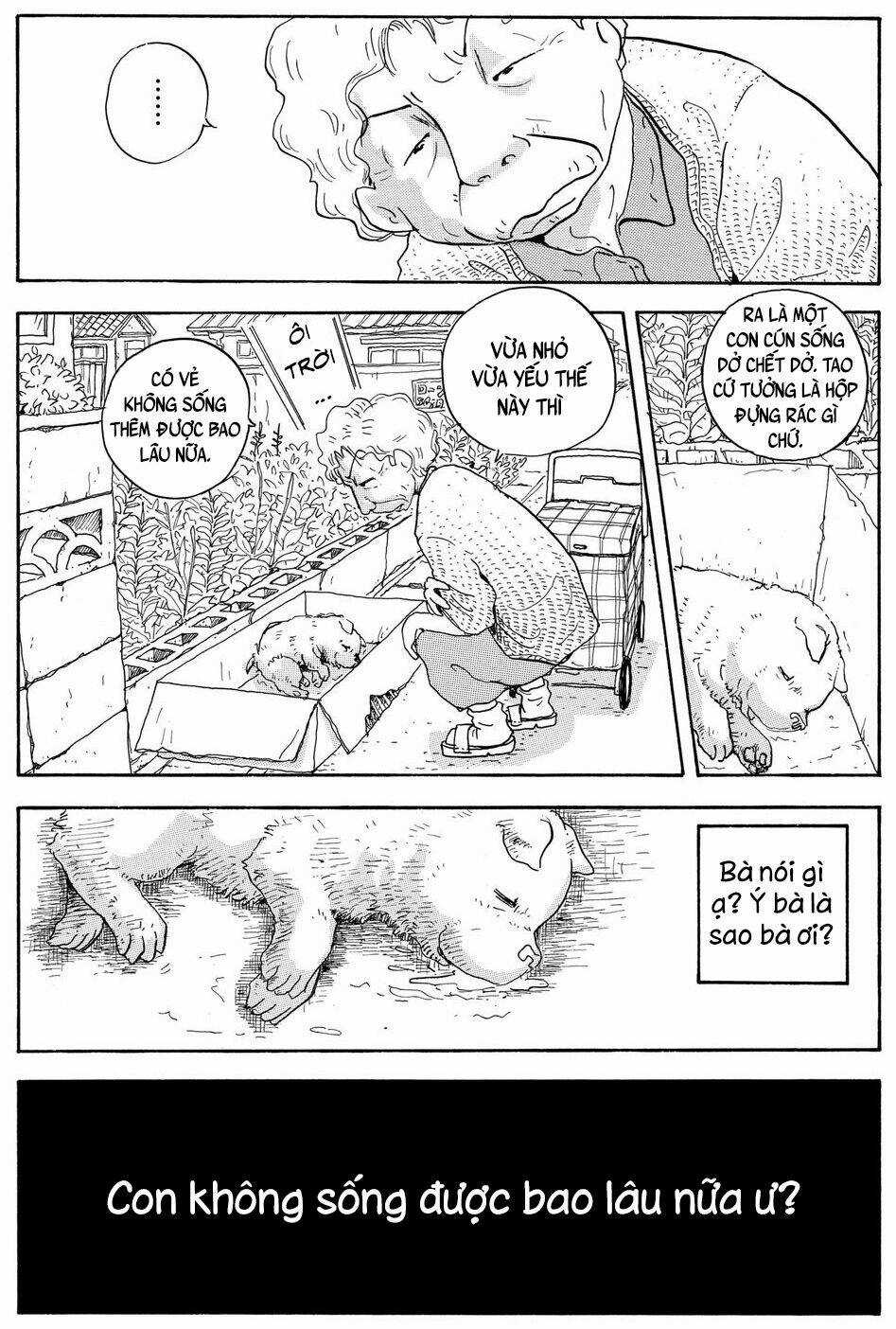 Hoshi Mamoru Inu - Chapter 7 - Trang 11