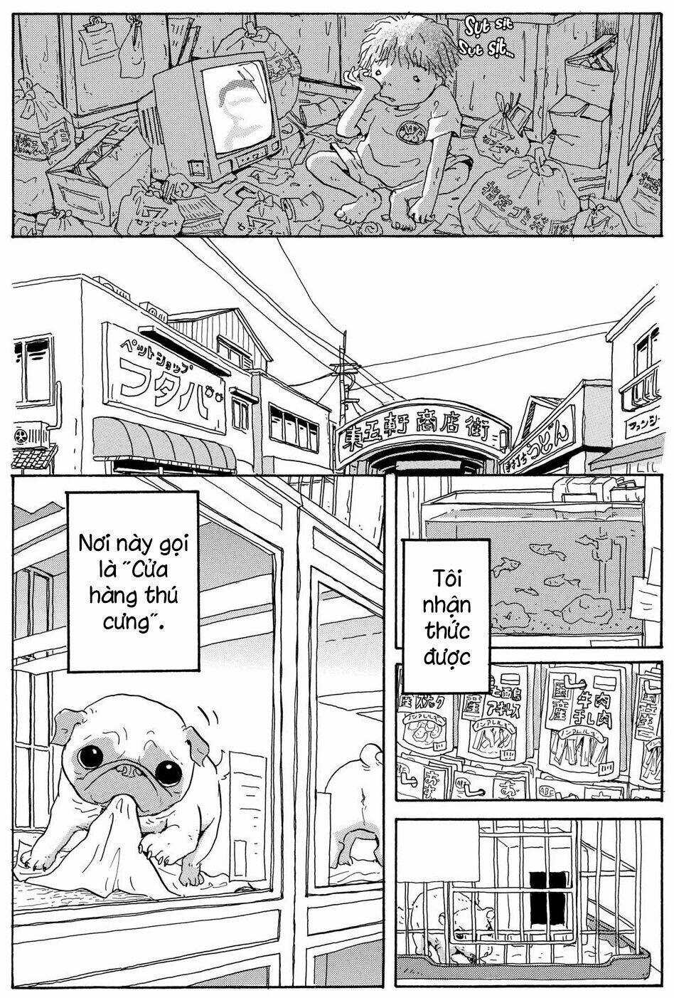 Hoshi Mamoru Inu - Chapter 9 - Trang 11