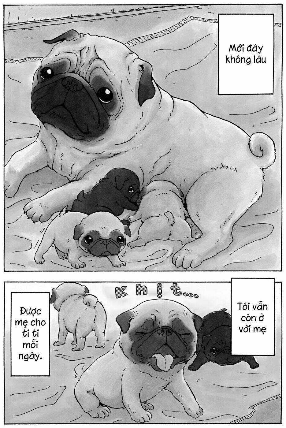 Hoshi Mamoru Inu - Chapter 9 - Trang 6