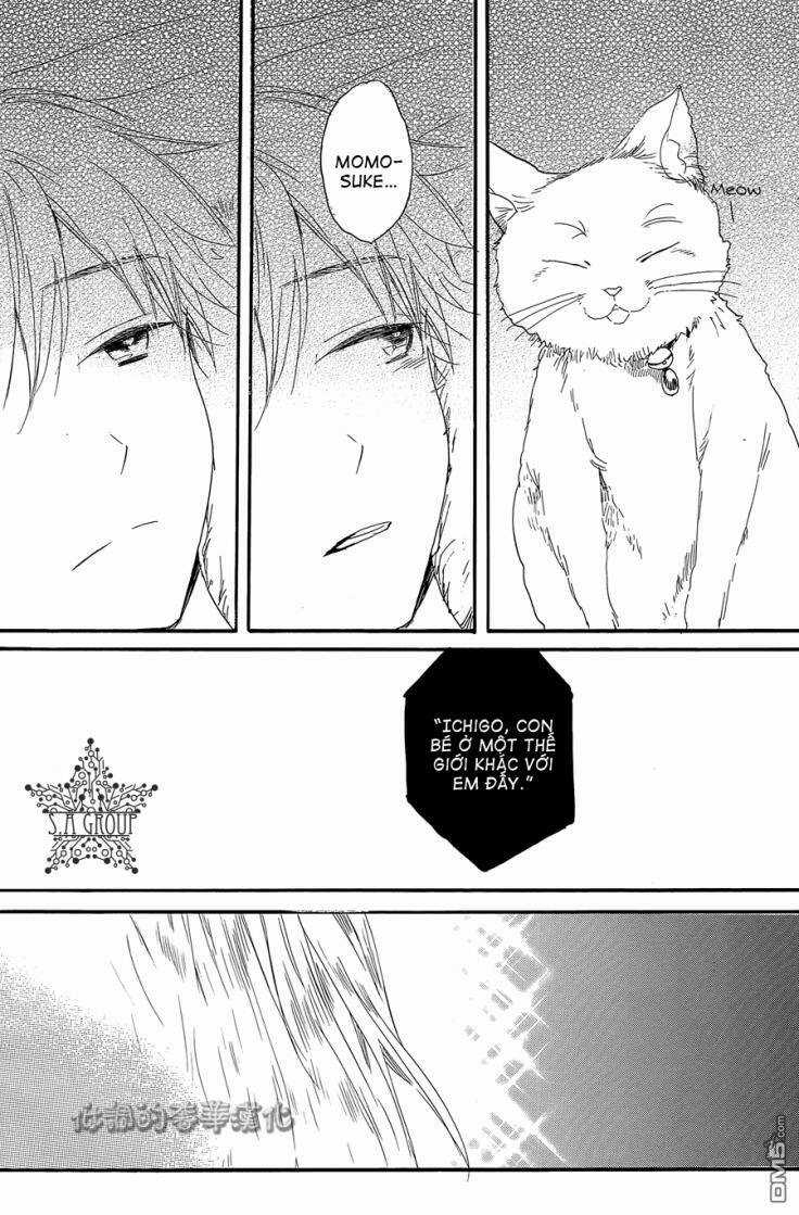 Hoshikuzu Drop - Chapter 6 - Trang 13