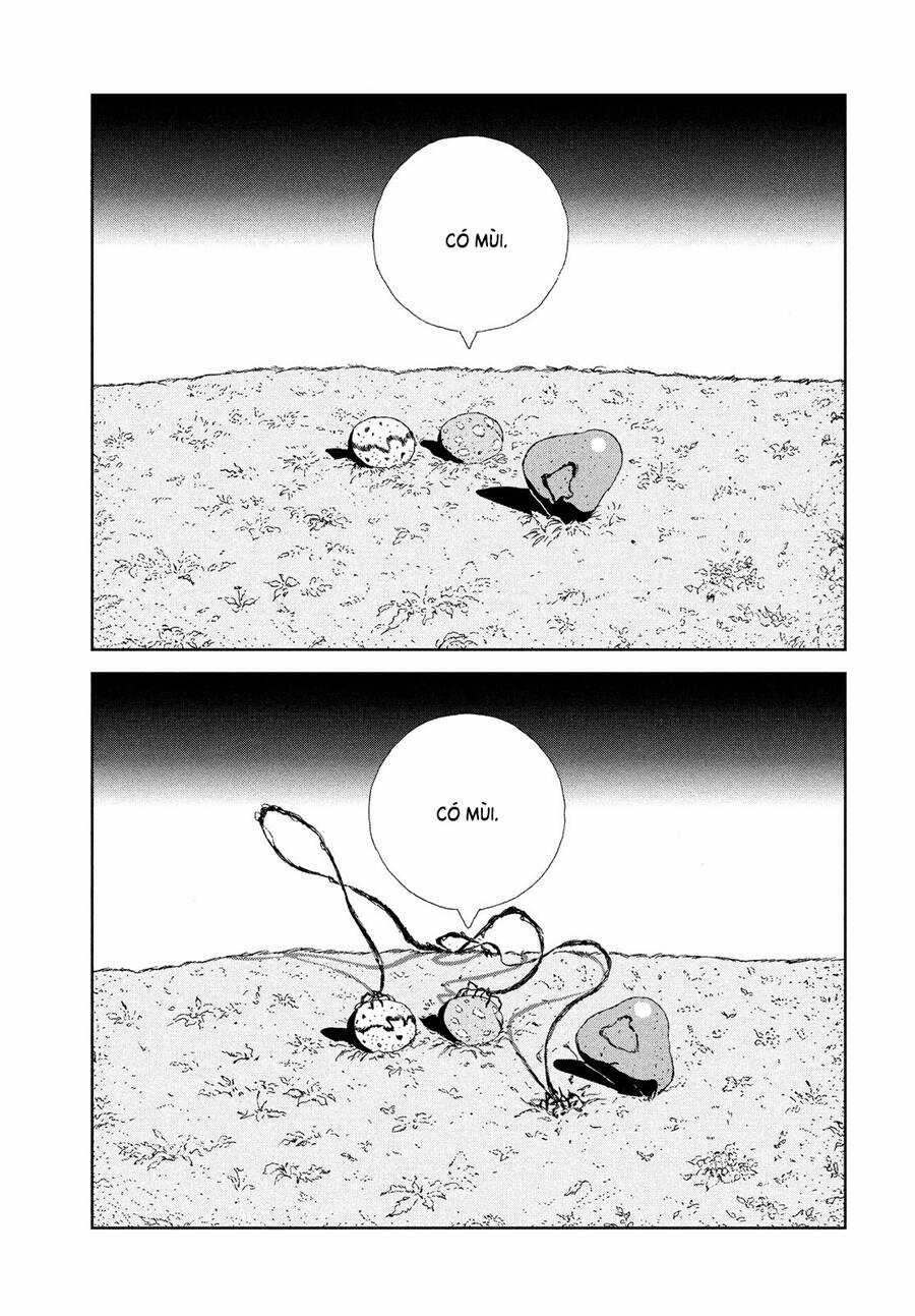 Houseki no Kuni - Chapter 101 - Trang 17