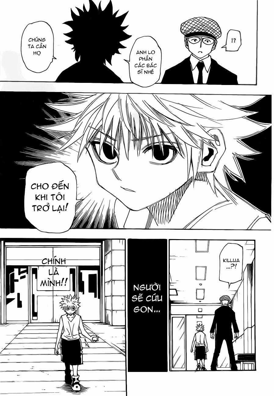 HUNTER X HUNTER - Chapter 316 - Trang 17