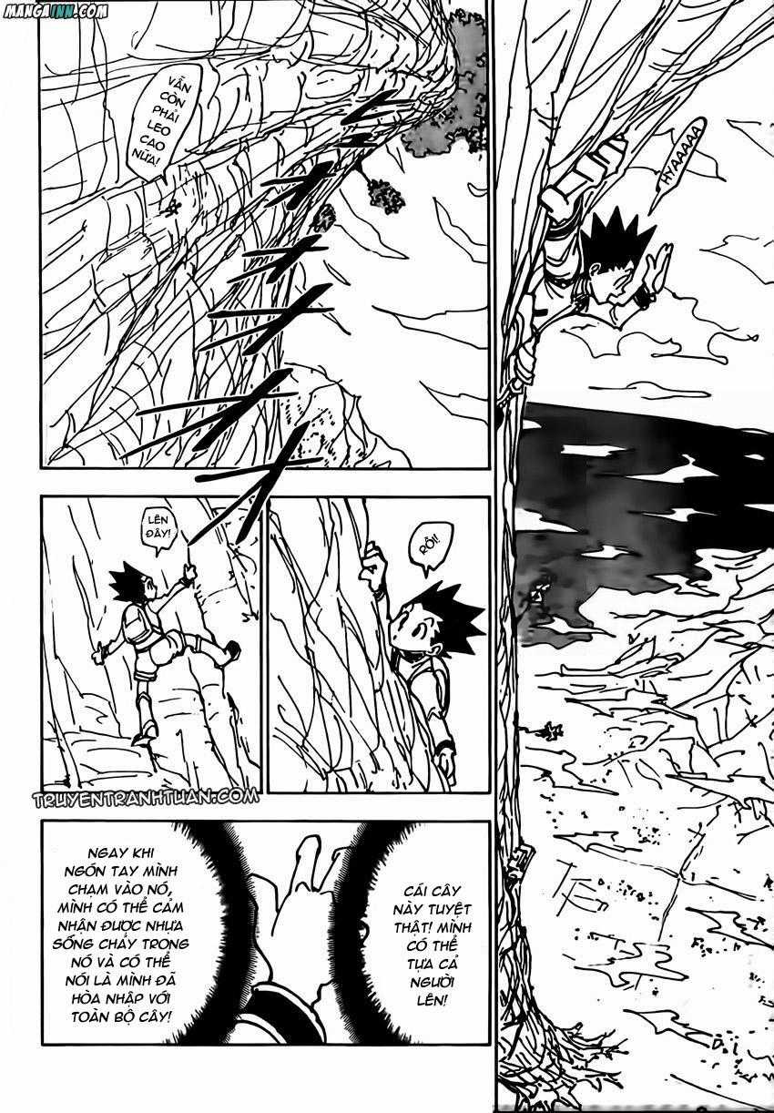 HUNTER X HUNTER - Chapter 338 - Trang 9