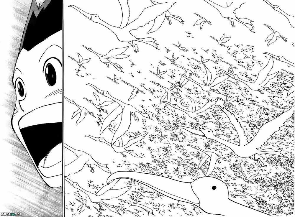 HUNTER X HUNTER - Chapter 339 - Trang 8