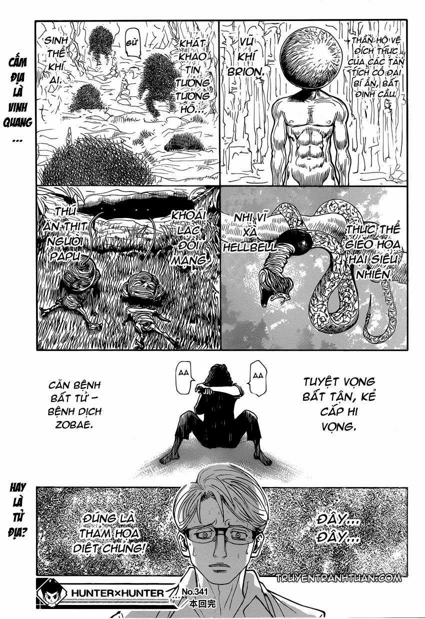 HUNTER X HUNTER - Chapter 341 - Trang 21