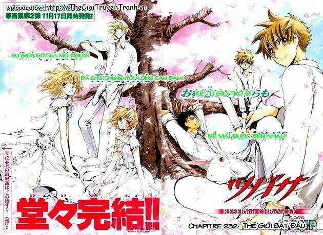 Huyền Thoại Đôi Cánh - Chapter 232 - Trang 2