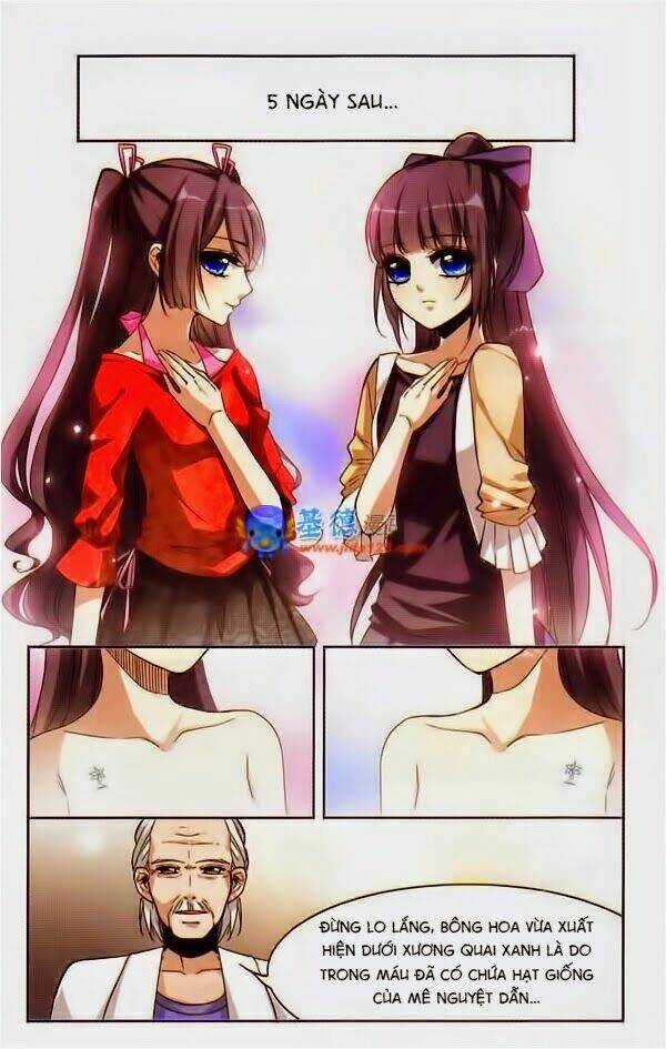 Huyết Tộc Cấm Vực - Chapter 2 - Trang 7