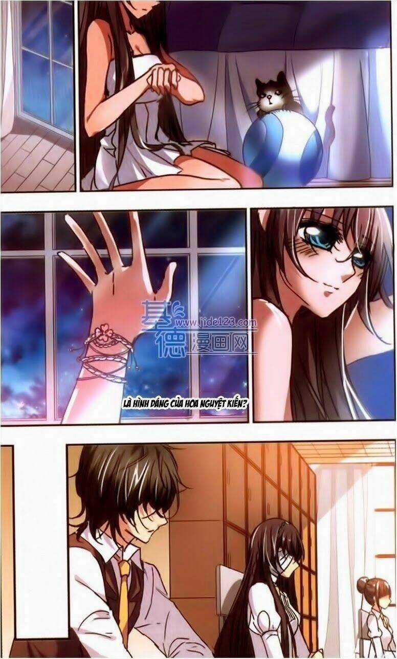 Huyết Tộc Cấm Vực - Chapter 20 - Trang 15