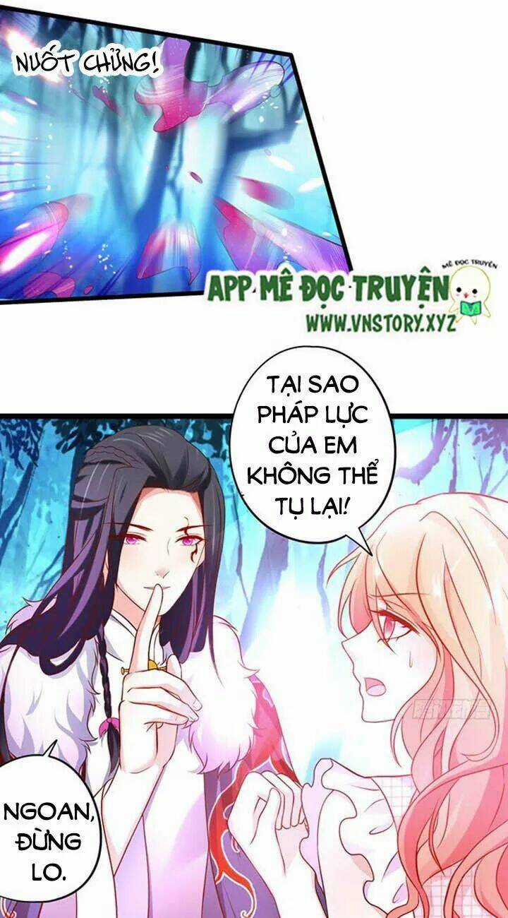 Huyết Tộc Đáng Yêu - Chapter 169 - Trang 12