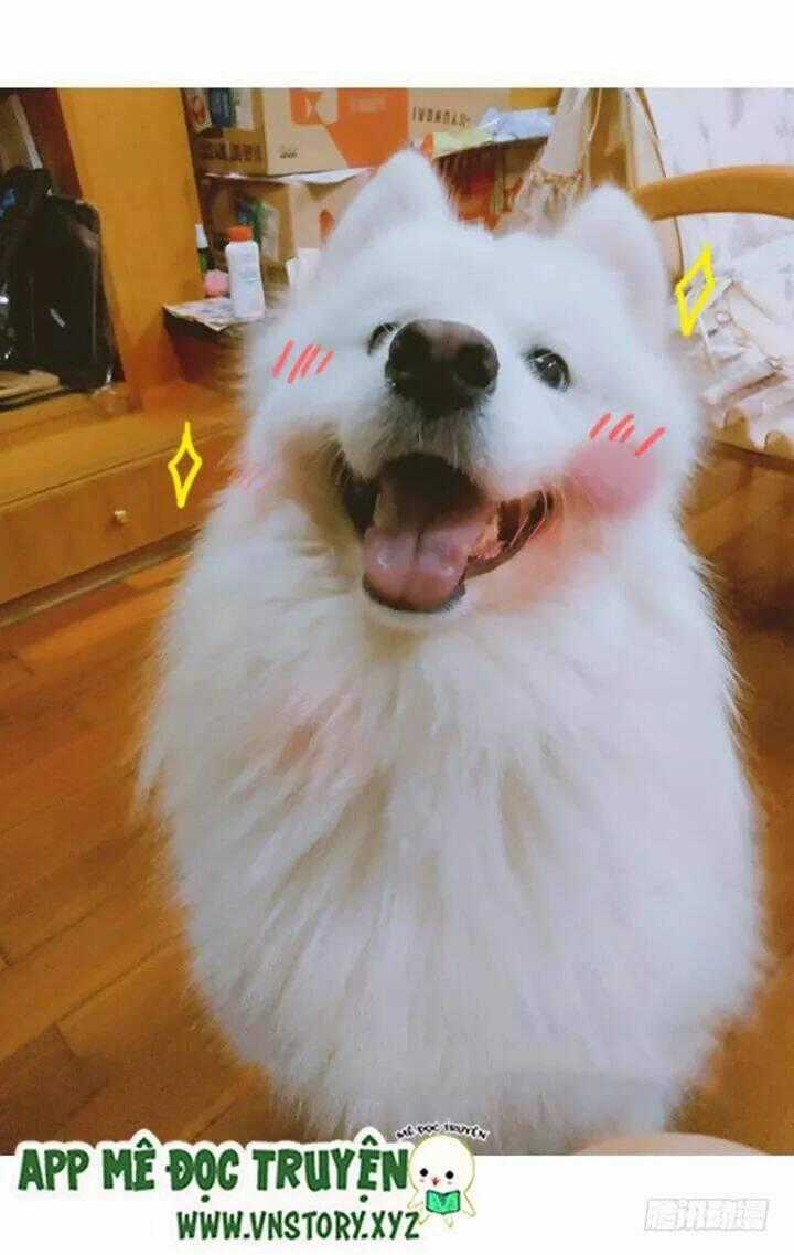 Huyết Tộc Đáng Yêu - Chapter 174 - Trang 69