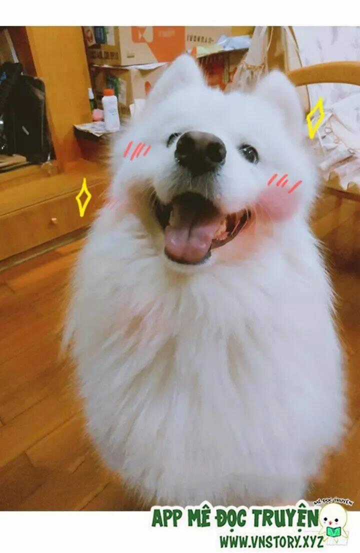 Huyết Tộc Đáng Yêu - Chapter 201 - Trang 24