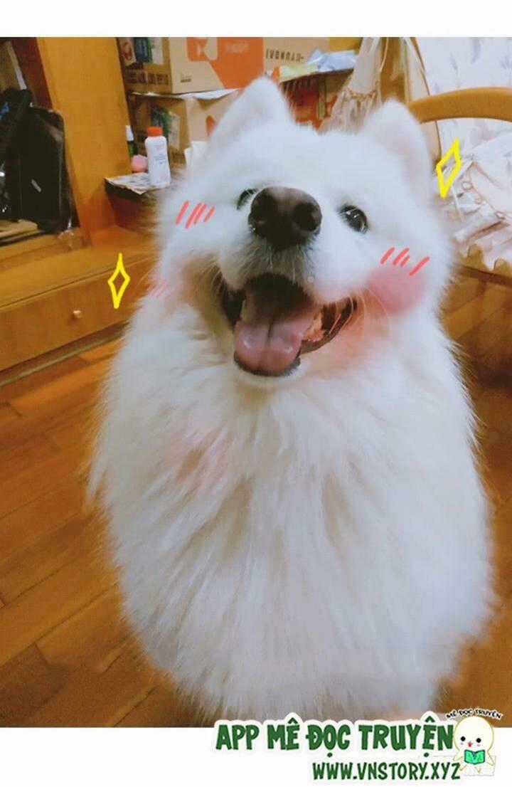 Huyết Tộc Đáng Yêu - Chapter 211 - Trang 32