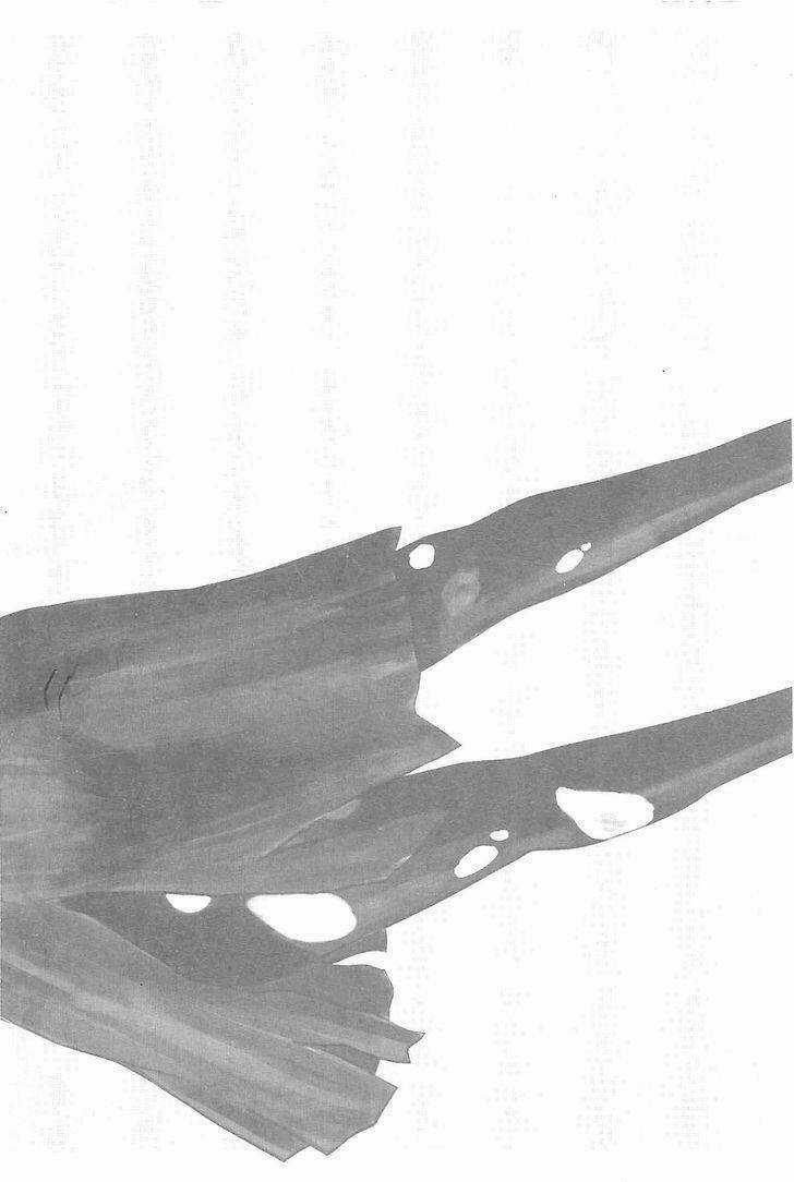 Hyouryuu Net Cafe - Chapter 1 - Trang 4