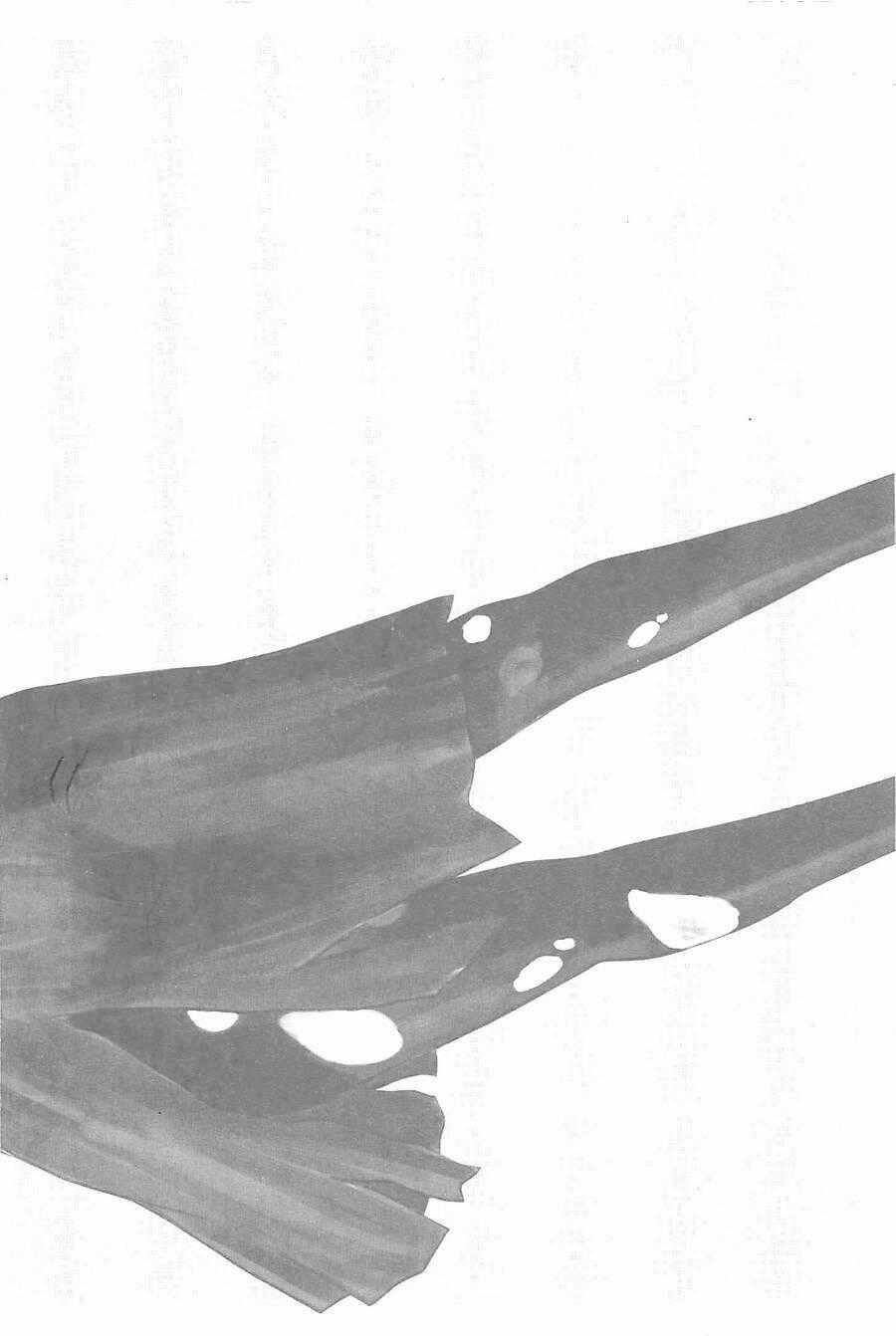 Hyouryuu Net Cafe - Chapter 10 - Trang 25