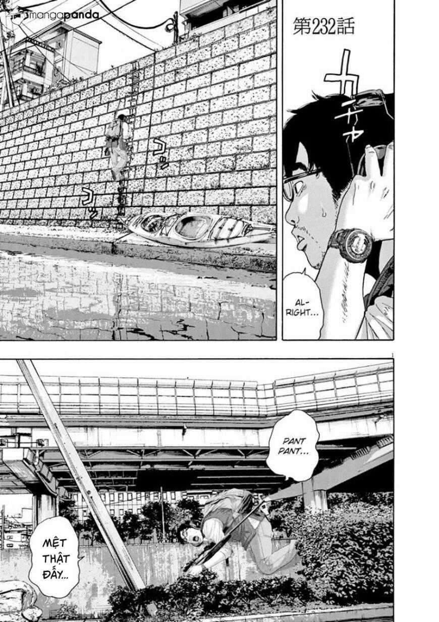 I Am A Hero - Chương 232 - Trang 1