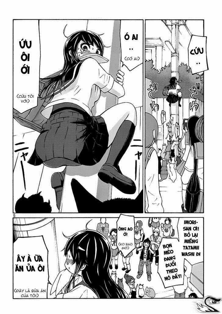 Imori 201 - Chapter 4 - Trang 6