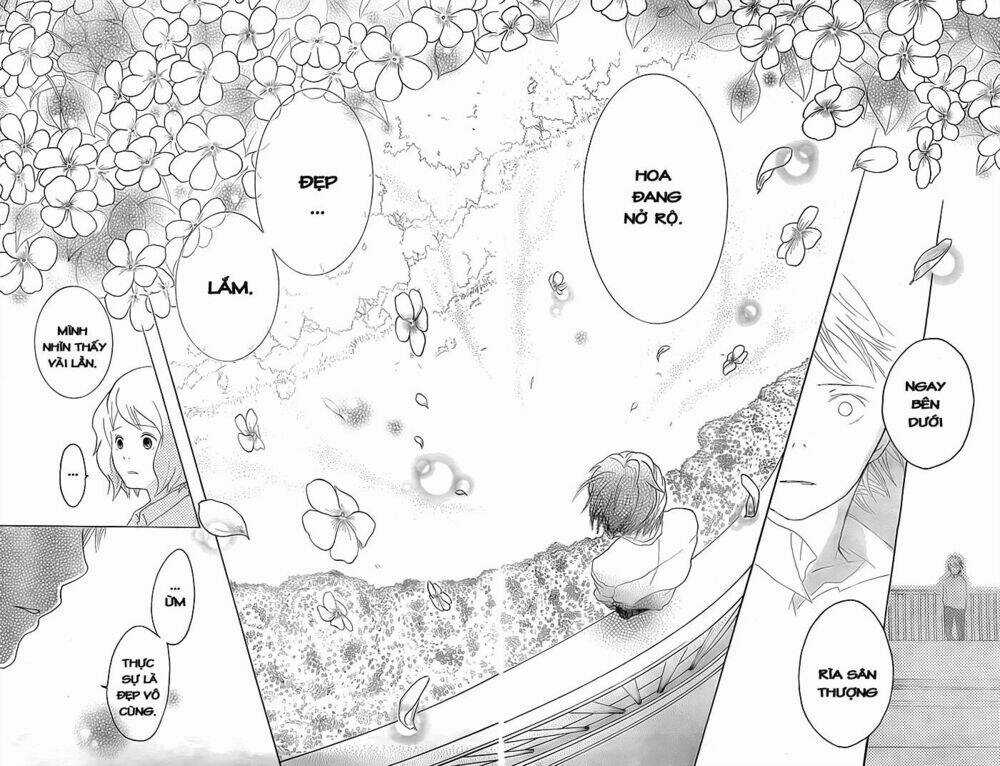 Impatiens - Chapter 1 - Trang 23