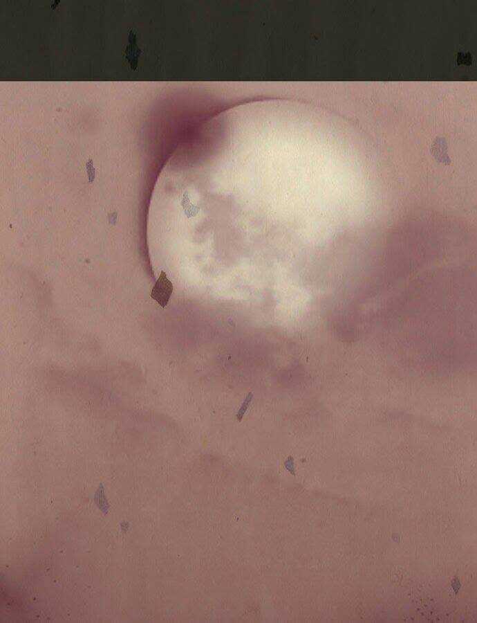 In Full Bloom - Chapter 1 - Trang 35