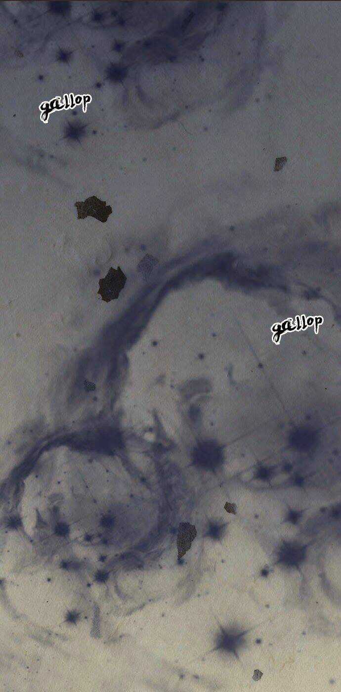 In Full Bloom - Chapter 1 - Trang 6