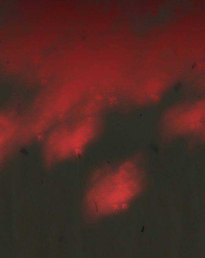 In Full Bloom - Chapter 5 - Trang 21