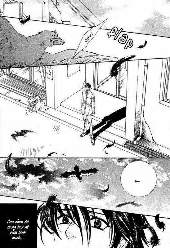 Innocent Bird - Chapter 13 - Trang 42