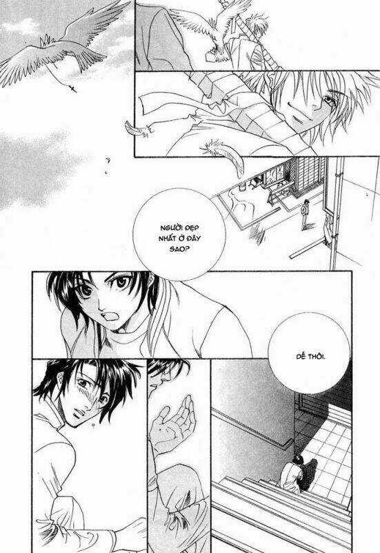 Innocent Bird - Chapter 13 - Trang 47