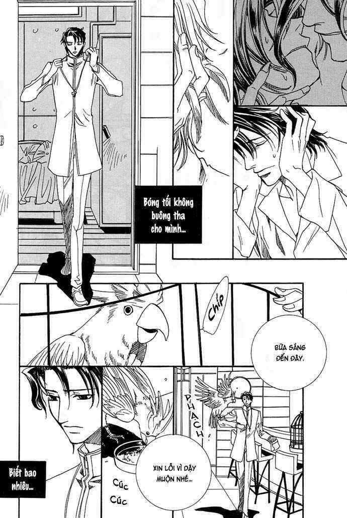 Innocent Bird - Chapter 3 - Trang 7