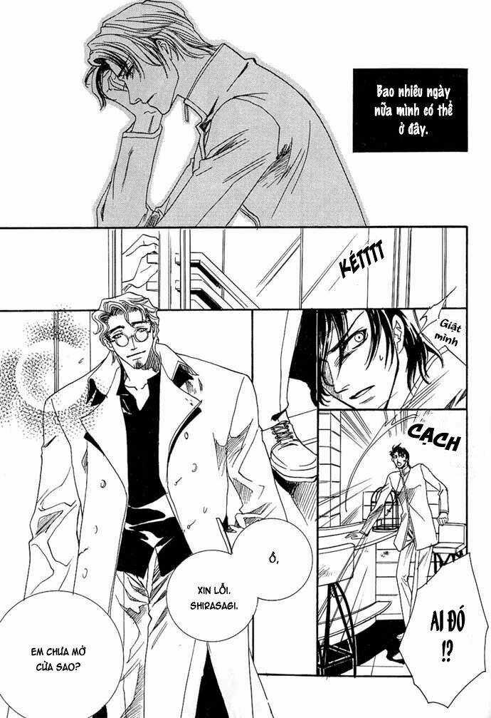 Innocent Bird - Chapter 3 - Trang 8