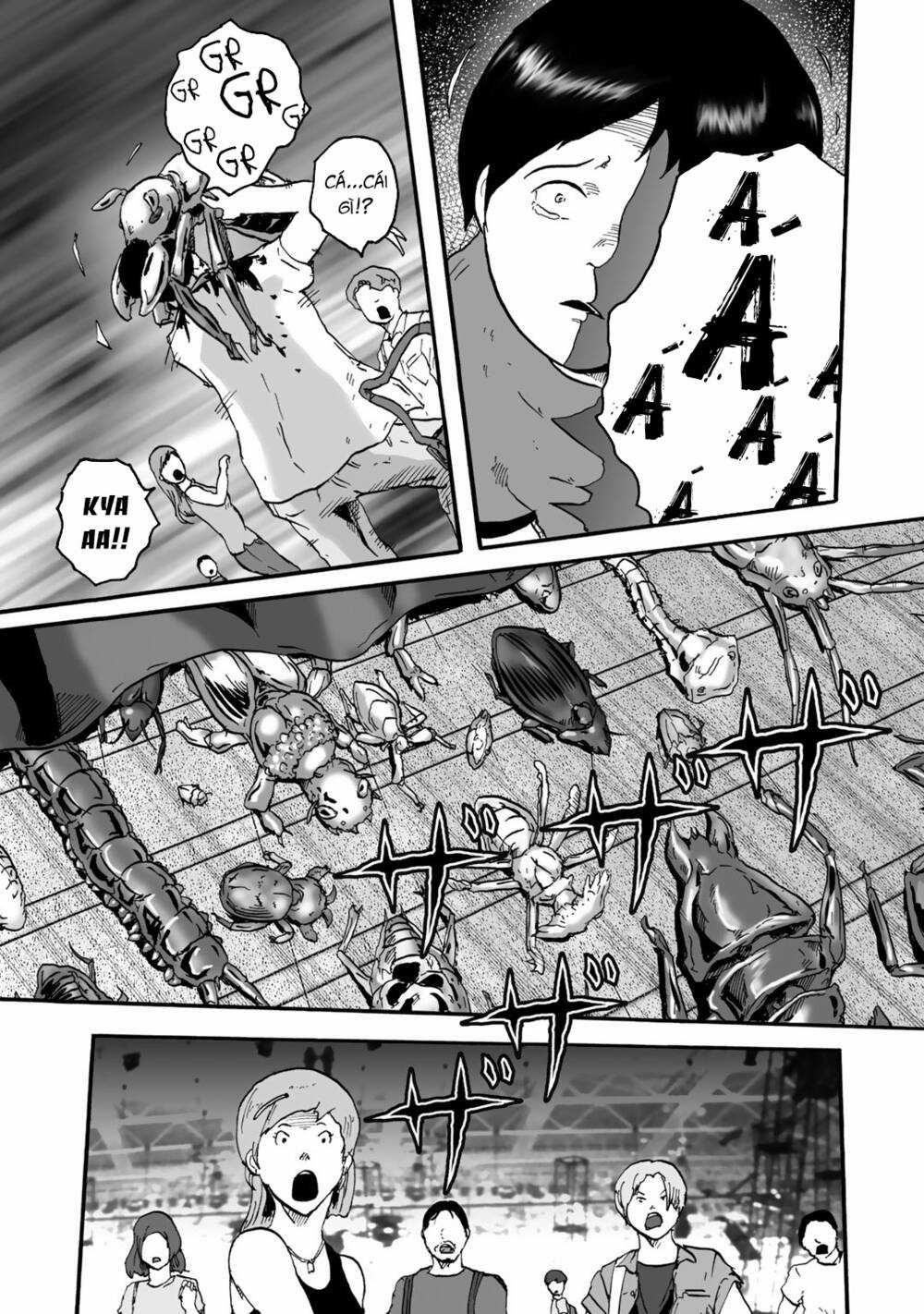 Insects R - Chapter 1 - Trang 33