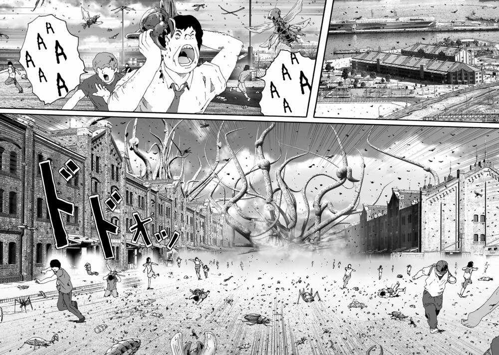 Insects R - Chapter 1 - Trang 37