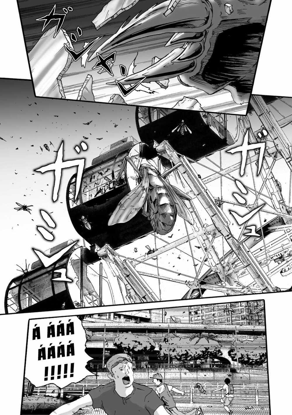 Insects R - Chapter 2 - Trang 3