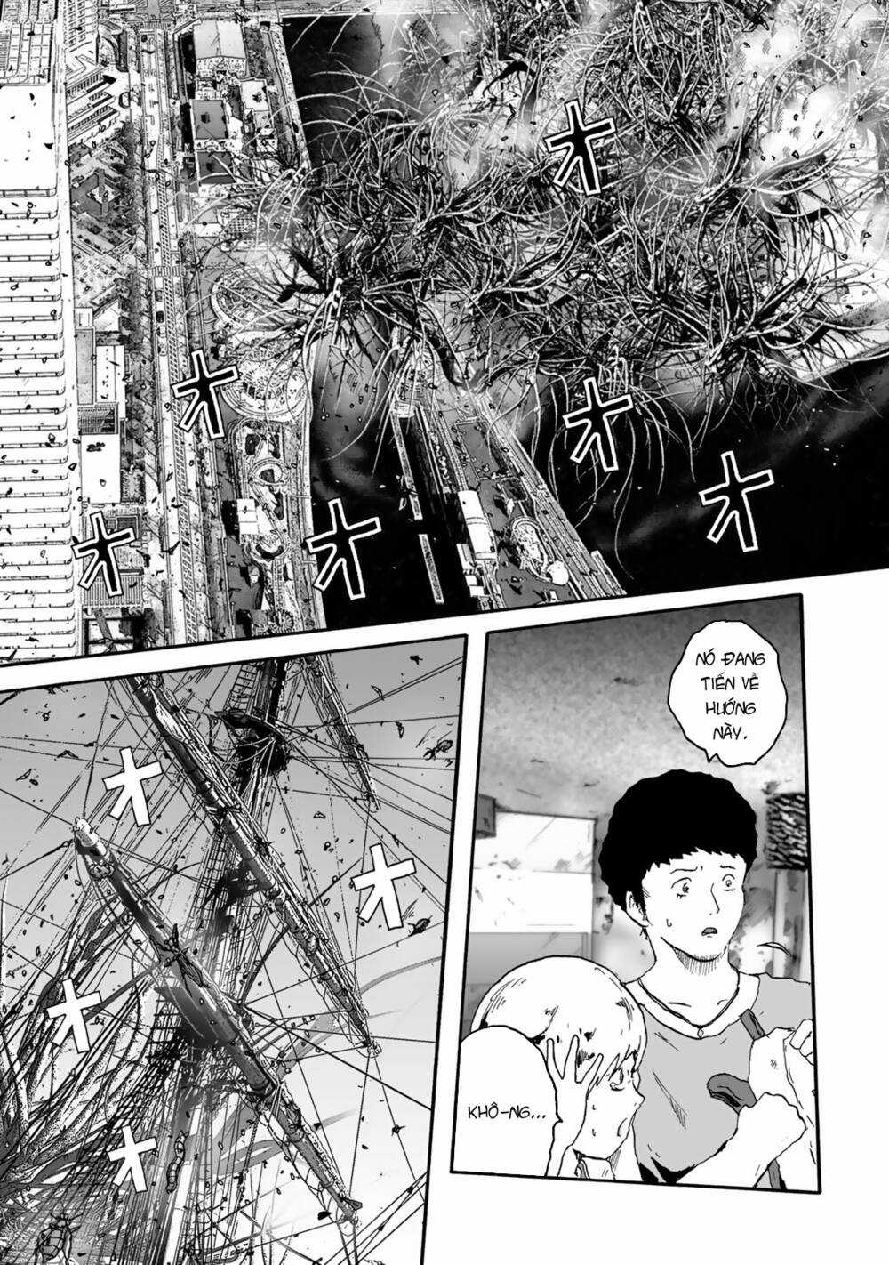 Insects R - Chapter 2 - Trang 29